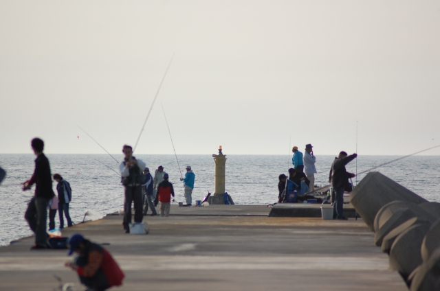 サバ釣りの時期と時間帯