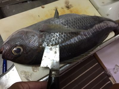 魚のウロコ取りのコツとは？しっかり処理して美味しく魚を頂こう！
