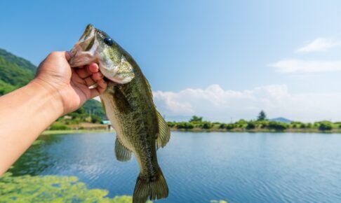 ヘビキャロを使いこなして釣果に差をつけろ！