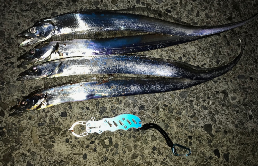 太刀魚ワインドを手軽に楽しもう